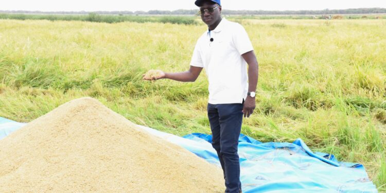 Du Fleuve à la Terre : Quatre Jours, Quatre Départements, Une Seule Ambition – La Souveraineté Alimentaire !