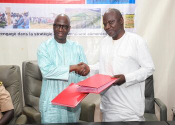 Bilan éloquent et perspectives prometteuses : Le CIRIZ salue une campagne rizicole historique et l’engagement de l’État