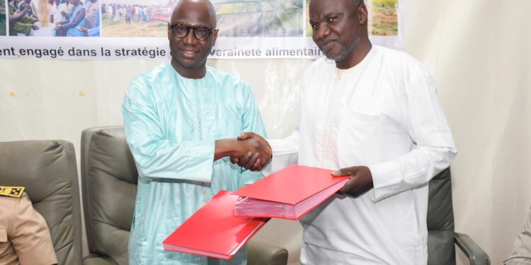 Bilan éloquent et perspectives prometteuses : Le CIRIZ salue une campagne rizicole historique et l’engagement de l’État