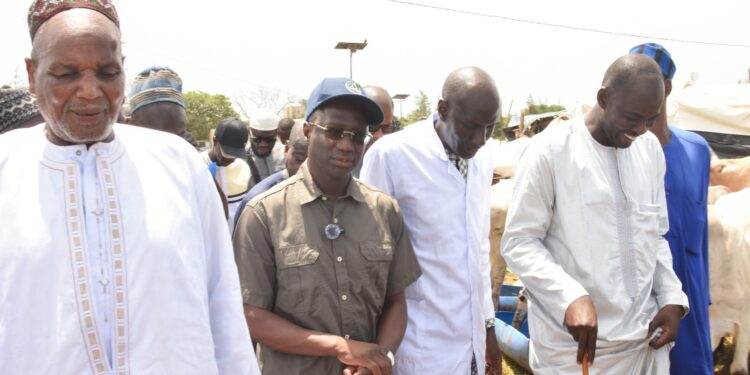 Sur le terrain aux côtés des acteurs de l’élevage : Le Ministre Mabouba Diagne à l’écoute du poumon économique de Diamaguène
